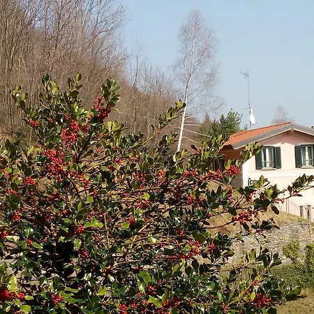 Bed & Breakfast La Morandi Marzio